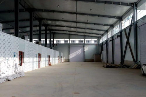 嗨購新年 會寧朝陽農(nóng)產(chǎn)品交易中心將于元旦盛大開業(yè)