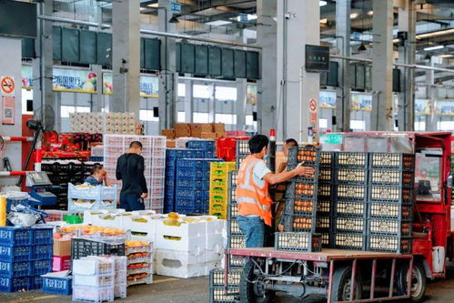 便宜到笑不動(dòng) 上海隱藏的新鮮水果批發(fā)地 散戶也能買 附掃貨攻略